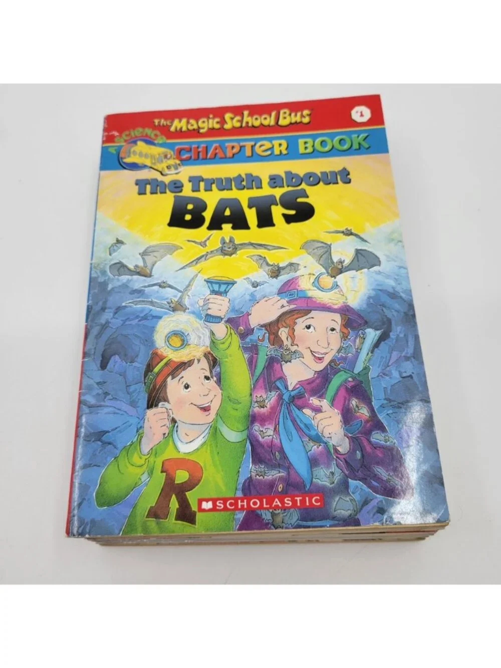 MAGIC SCHOOL BUS Lot of 7 Science Chapter Books - CB022